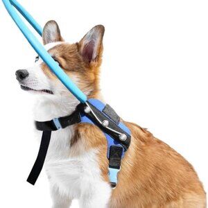 Blue Dog Harness with Leash